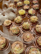 Load image into Gallery viewer, Piped Flower Cupcakes