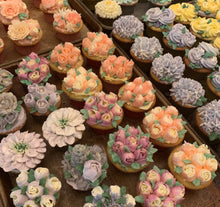 Load image into Gallery viewer, Piped Flower Cupcakes